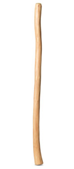 Natural Finish Didgeridoo (TW971)